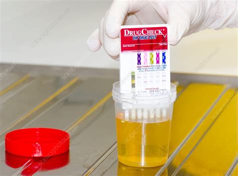 Urine Drug Test Stock Image C0142384 Science Photo Library