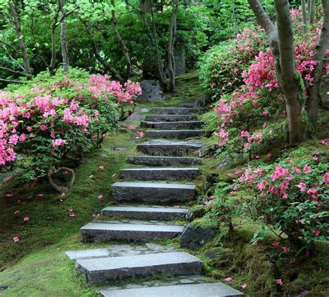 Japanese Garden Stairway Stock Image Image Of Moss Park 517977