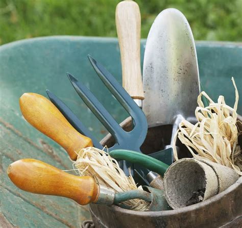 Must Have Gardening Tools Buying Guide