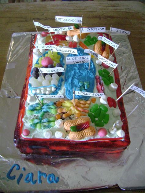 Animal Plant Edible Cell Cake Model Project Rubric Powerpoint Vrogue