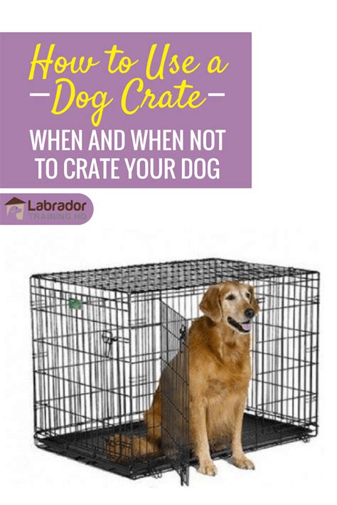 Crate training uses the dog's natural instinct to seek a safe den in which to sleep. When to Use a Dog Crate [Plus FREE TIPS on Crating a Dog ...