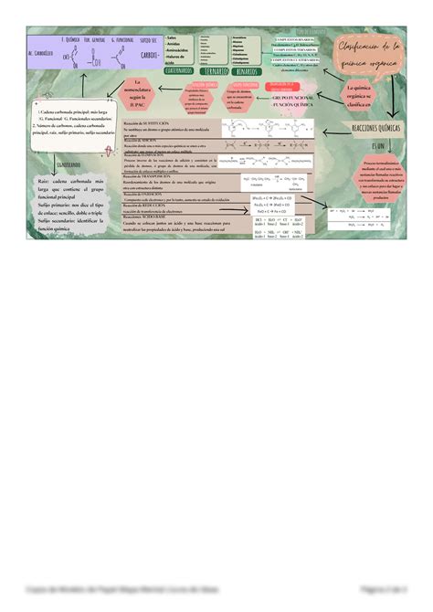 SOLUTION Mapa Mental Qu Mica Org Nica Studypool