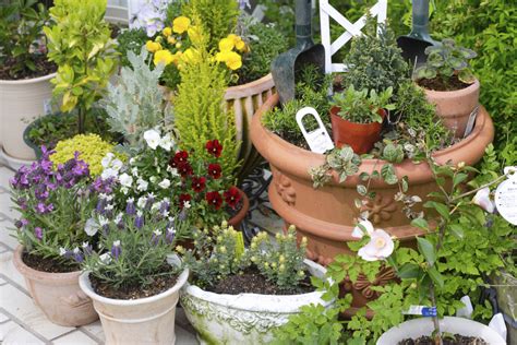 How to plant an english garden. 5 Steps For A Rainproof Container Garden - The English Garden