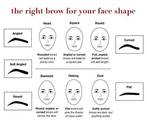 Creating The Perfect Brow Have You Ever Wondered What