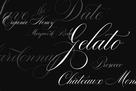 Bodega Script Elegant Wedding Font