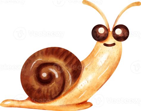Free Watercolor Snail Clip Art 23297244 Png With Transparent Background