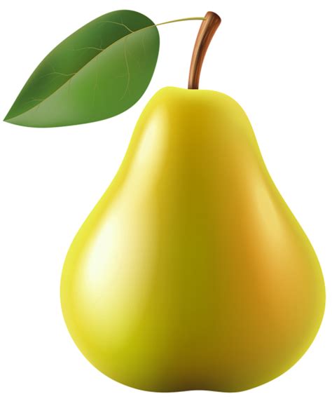 Pear Clip Art Pear Png Download 499600 Free Transparent Pear Png