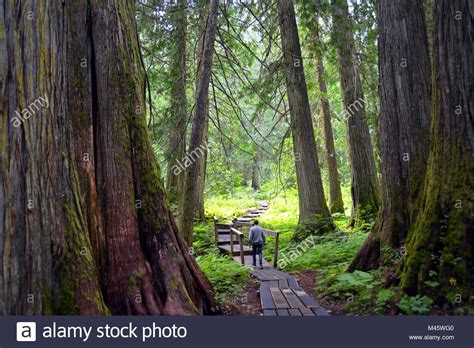 Canada British Columbia Prince George Hi Res Stock Photography And