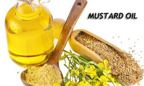 How To Start A Mustard Oil Mill Factory With Low Investment