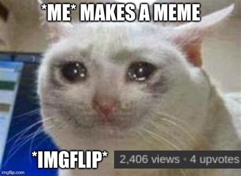 Sad Cat Imgflip