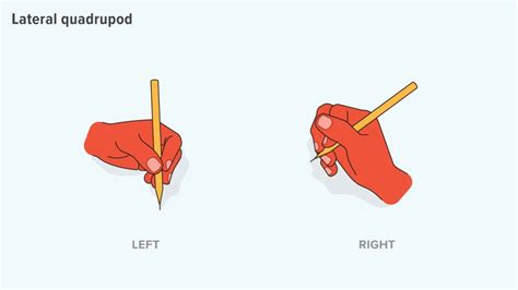 What You Need To Know About How To Hold A Pencil