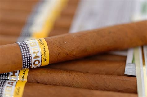 Check spelling or type a new query. Cuban Cigars Will Soon be Available to Americans | Money