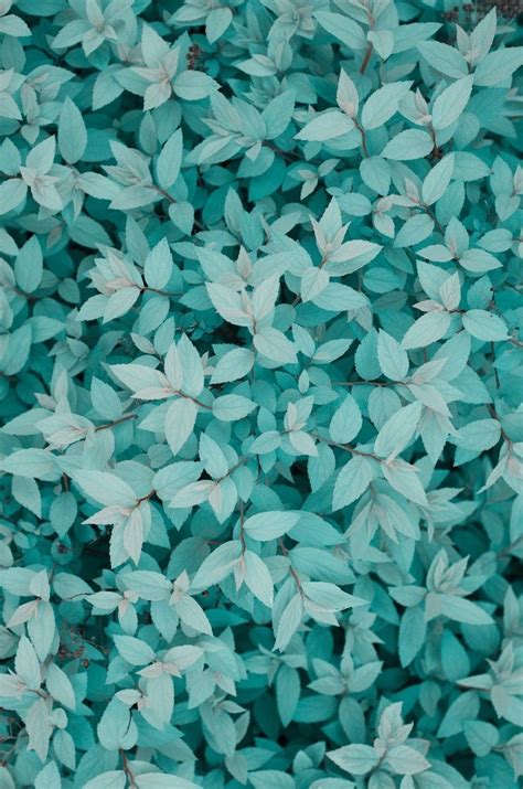 Turquoise Aesthetic Wallpapers Top Free Turquoise Aesthetic