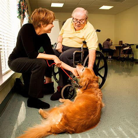 Benefits Of Pet Therapy For Seniors Home Care Tips And How To S