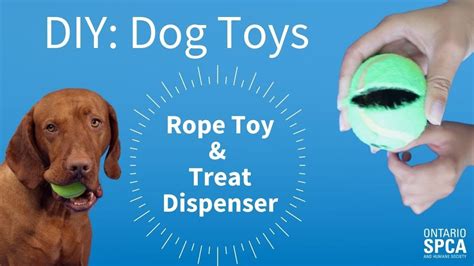 Diy Dog Toys Rope Toy And Treat Dispenser Youtube