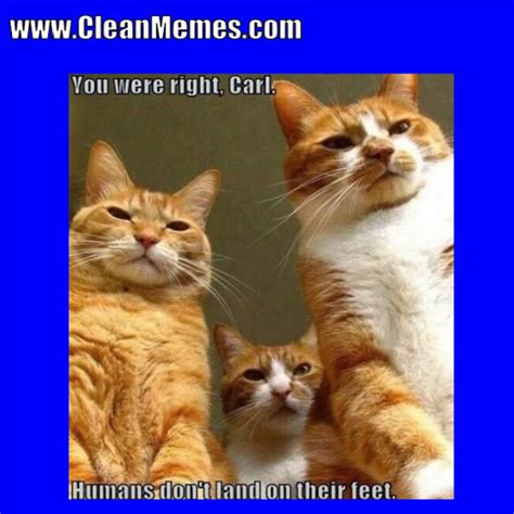 Some of theme are sad, grumpy, crying, cute, dank, hilarious and clean memes. Clean Memes - Page 55 - The best and most clean memes online.