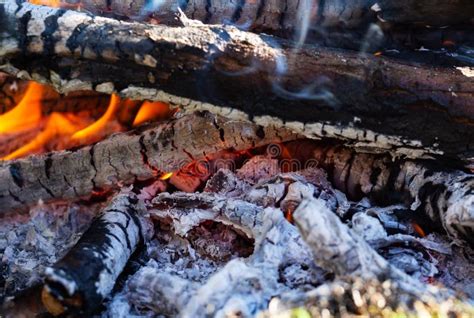 Glowing Embers In The Ash With Log In Smoke Macro Stock Photo Image