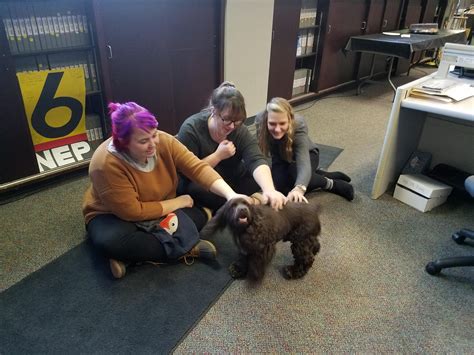 Kurt Aaron WNEP - Our dog Ranger, loves the people at WNEP...