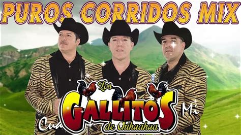 Los Gallitos De Chihuahua Puros Corridos Exitos Youtube