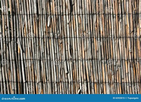 Bamboo Texture Royalty Free Stock Photo Image 6592815