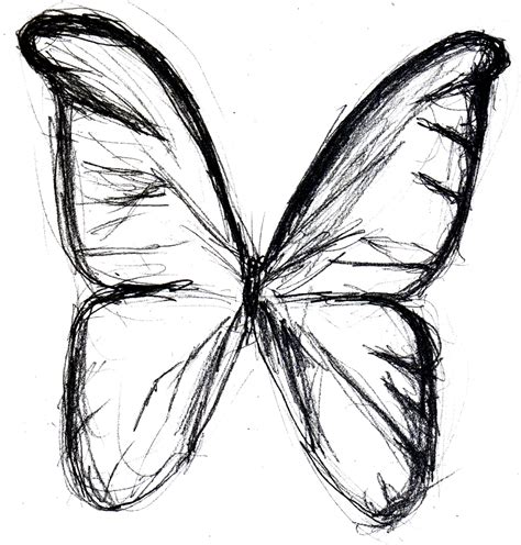 Butterfly Line Drawing Images Free Download On Clipartmag