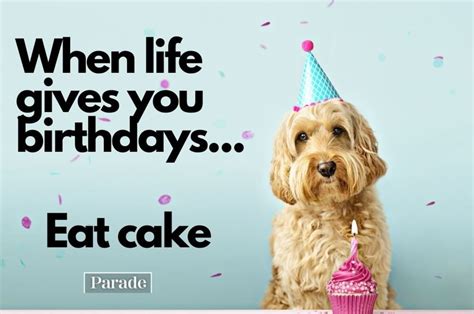 Funny Happy Birthday Memes Parade
