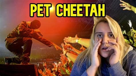 Twenty One Pilots Pet Cheetah Vr Reaccion Video Oficial Karmin