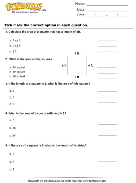 find area  squares worksheet turtle diary