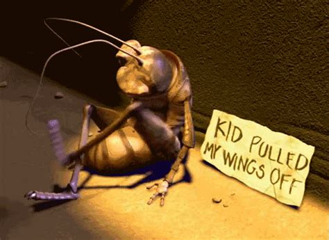 In older literature, such as imms, crickets were placed at the family level. The saddest moment ever in Cartoon history | Funny ...