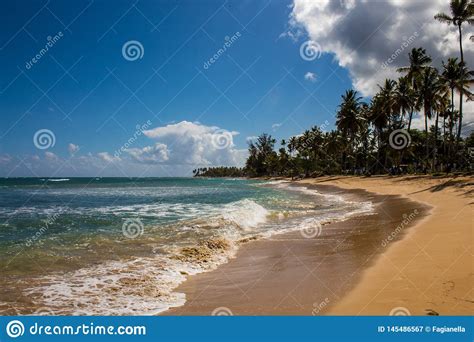 Playa Salvaje Y Tropical Hermosa En Las Terrenas Repblica Dominicana Una Esquina Del Paraso