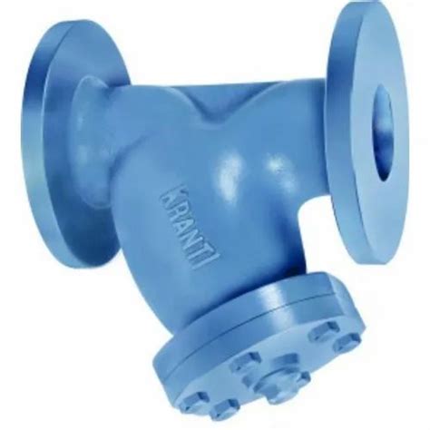 Pv Cast Iron Y Type Strainer Flanged At Best Price In Jalandhar