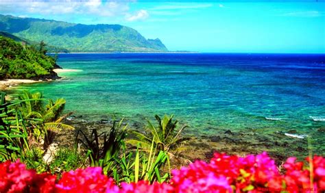 Hawaii Background Images Wallpapersafari