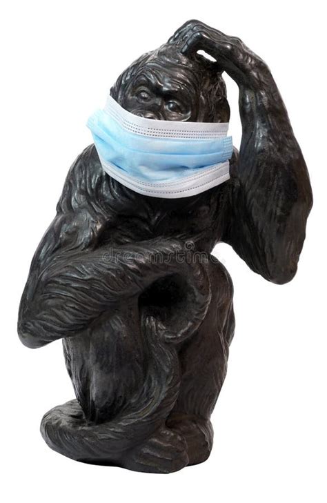 Chimpanzee Statue Wearing Surgical Mask Stock Image Image Of Monkey