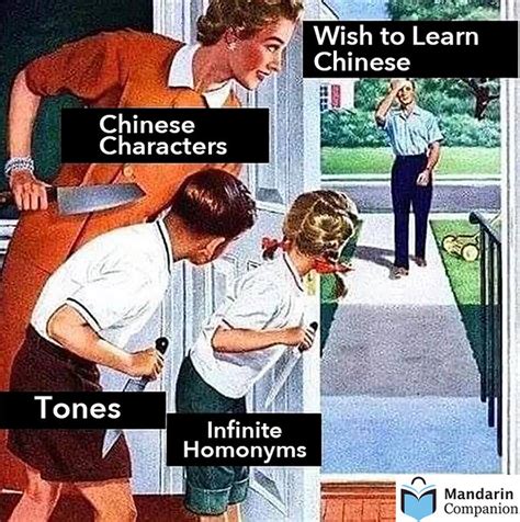 Learn Chinese Meme More Learn Chinese Memes From Mandari Flickr