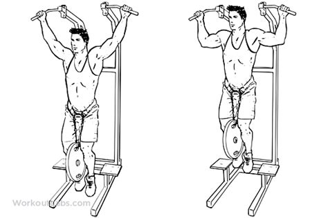 Weighted Pull Ups Pullups Workoutlabs