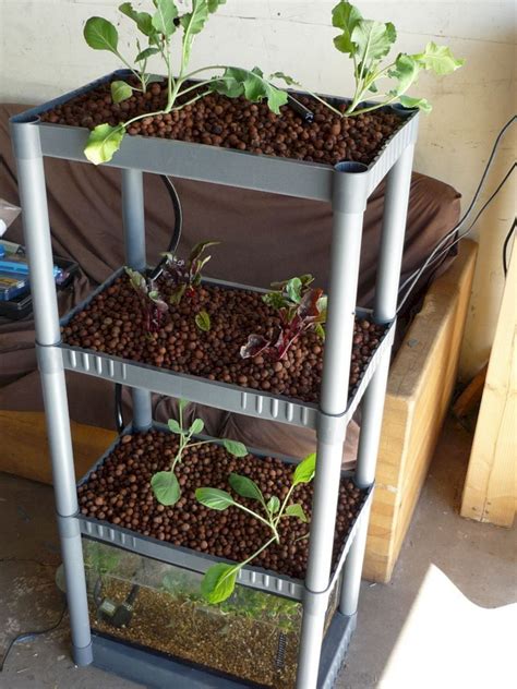 Since you have the extra space in this larger bedroom, you can afford to fill it with a hydroponic grow tent. Healthy Life With Hydroponics Indoor Ideas 55 Best Inspirations 32032 | Indoor aquaponics ...