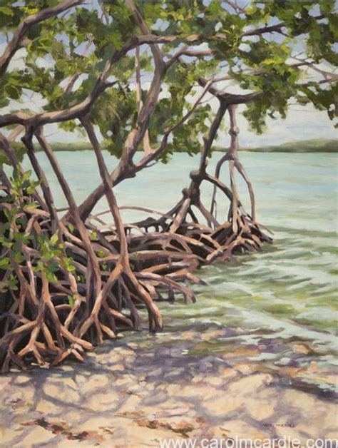 Mangrove Paintings Florida Art Landscape Paintings Mangrove