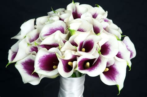 Picasso Calla Lilies In This Lovely Bridal Bouquet Picasso Calla