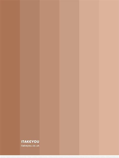Paper Party Supplies Shades Of Browns And Nudes Etna Com Pe