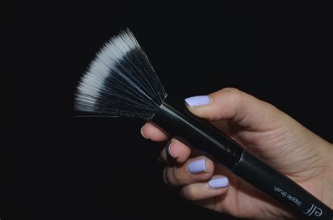 7 Must Have Makeup Brushes Missdcal Diana C