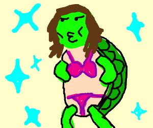 Sexy Turtle Drawception