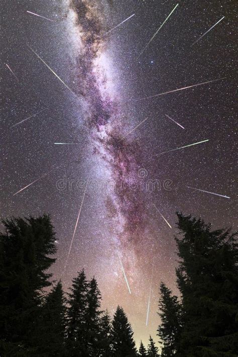Purple Milky Way Falling Stars Pine Trees Silhouette Stock Photo