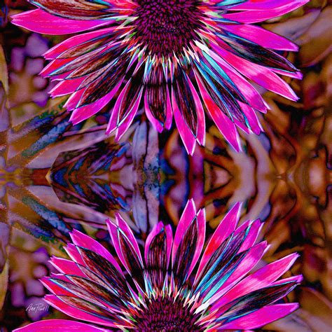 Abstract Flowers Flower Power Three Photograph By Ann Powell