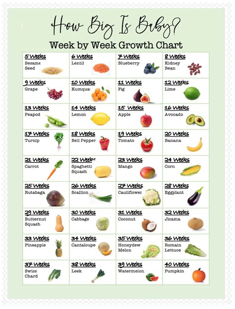 How Big Is Babyweekly Printable Growth Chart See How Big Etsy How