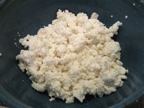 Filecottage Cheese Homemade Wikipedia