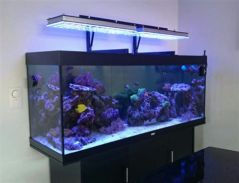Atlantik Series Choosing Proper Led Aquarium Lighting Orphek