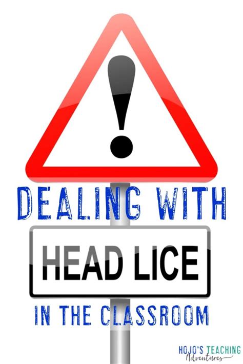 Dealing With Head Lice At School Hojos Teaching Adventures