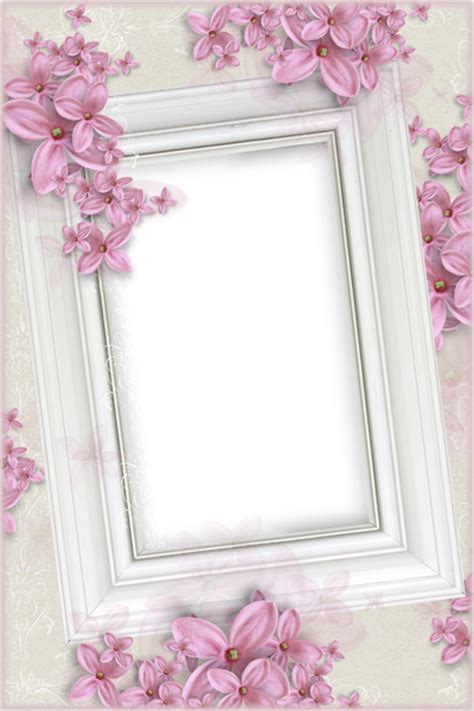 Delicate White Transparent Frame with Pink Flowers | Gallery