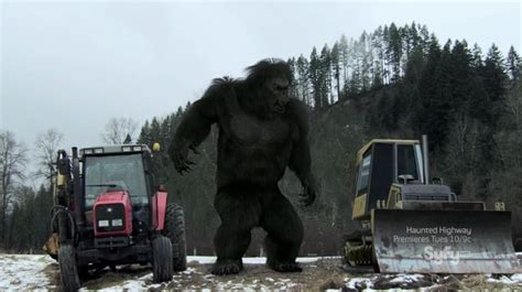 Bigfoot 2012