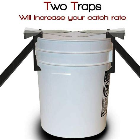Rinnetraps Walk The Plank Mouse Trap 2 Pack Bucket Mouse Trap 2